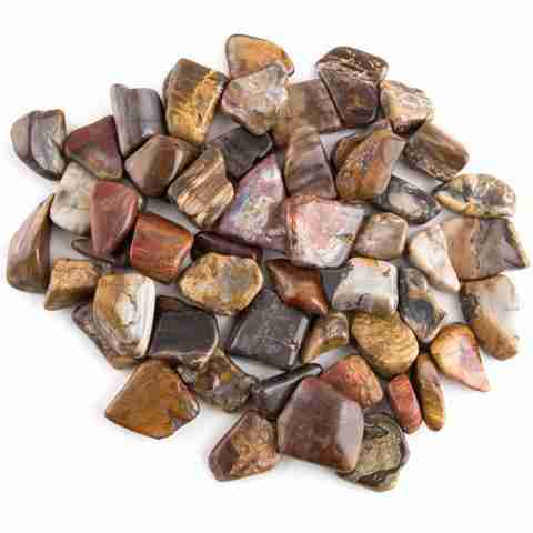 (image for) Petrified Wood Tumbled Stone