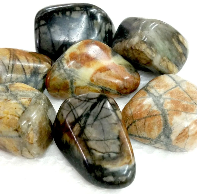 (image for) Picasso Jasper Tumbled Stone